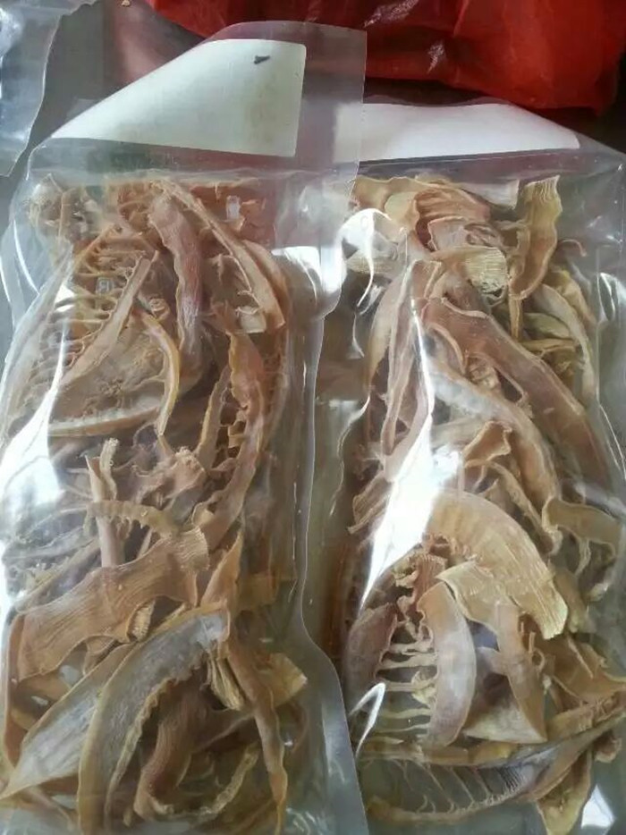 ������Ƭ