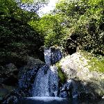 ������ԧ��̶