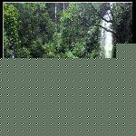 �����������ٲ�